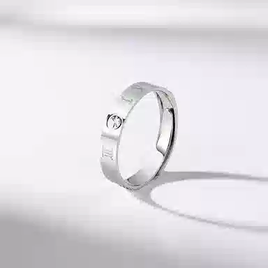 ins S925