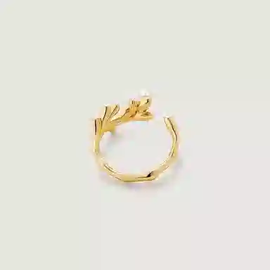 Amber Lollipop Venus