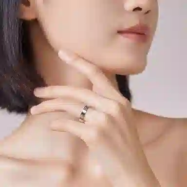 ins S925