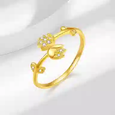 ins S925