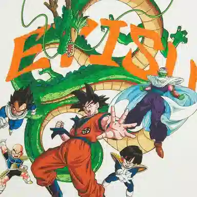 EVISU x Dragon Ball Z