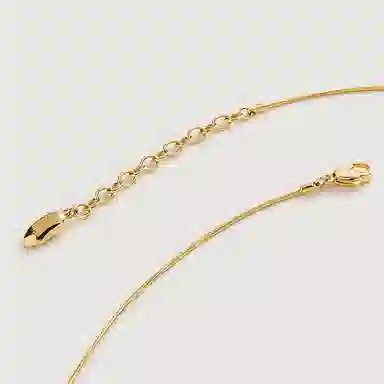 Amber Lollipop Venus