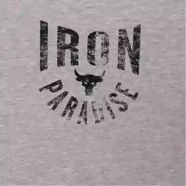 Under Armour iron T