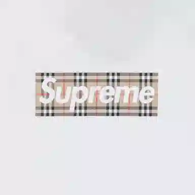 Supreme x Burberry Box Logo Tee