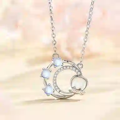 PRP S925