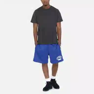 Stussy SS23 ARCH MESH SHORT