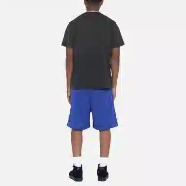 Stussy SS23 ARCH MESH SHORT