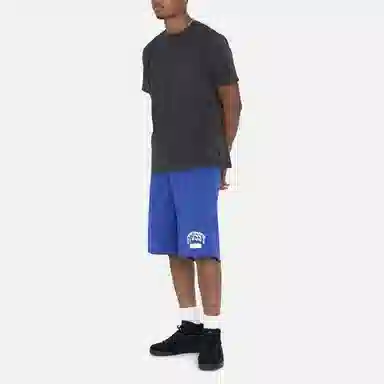 Stussy SS23 ARCH MESH SHORT