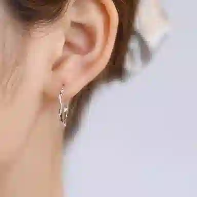 ins S925