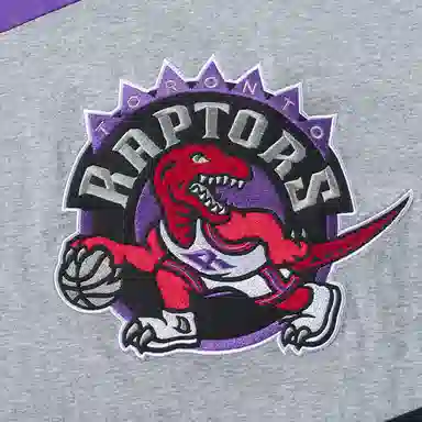 Mitchell Ness NBA logo