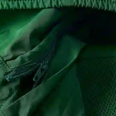 LACOSTE Logo