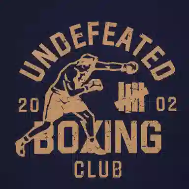 UNDEFEATED SS25 T