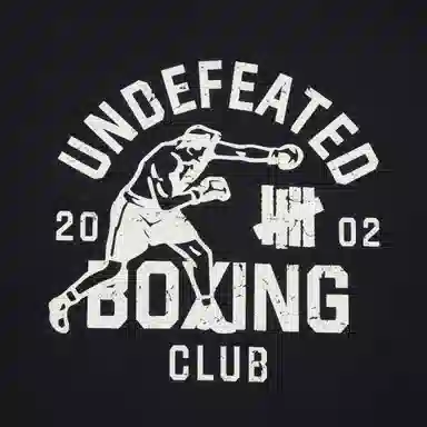 UNDEFEATED SS25 T