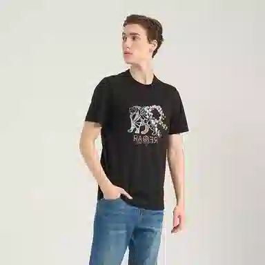 RARE T