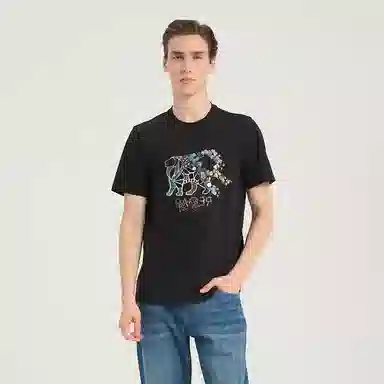 RARE T