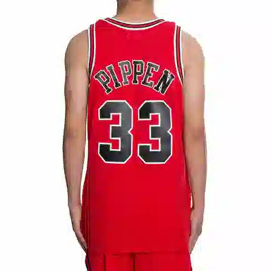 Mitchell Ness NBA SW 33