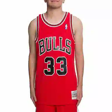 Mitchell Ness NBA SW 33