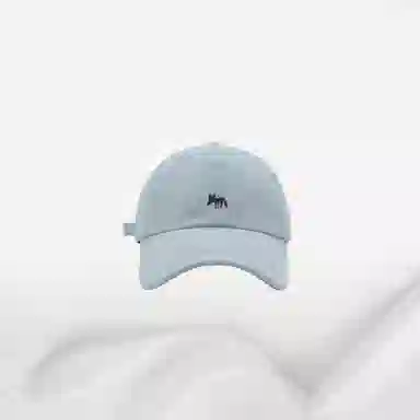 IOTS Embroidered Fox Cap