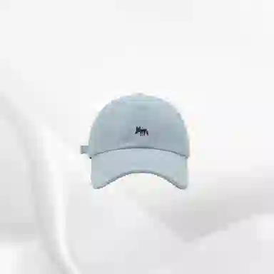 IOTS Embroidered Fox Cap