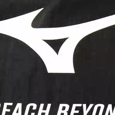 Mizuno T