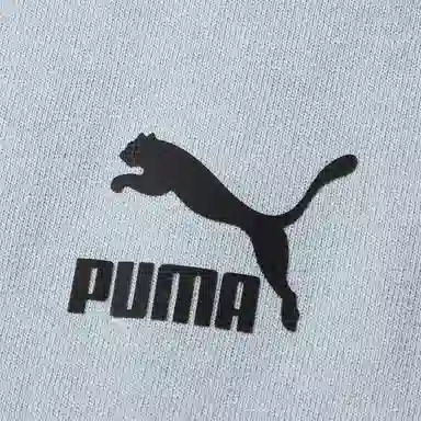 Puma T