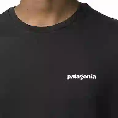 patagonia T