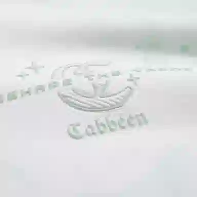 Cabbeen 2025ClogoT