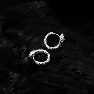 丹琴 绿眼灵蛇形独特耳扣小众设计感高级耳钉潮酷帅圈圈耳圈轻奢百搭本命年耳饰 合金 耳环 男女同款情侣款