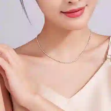 ins S999