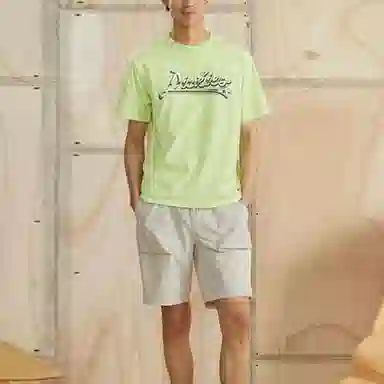 Dickies LogoT