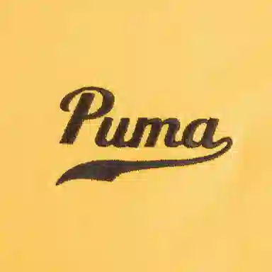 PUMA TEAM LOGO TEE LOGOlogo T