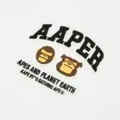Aape T