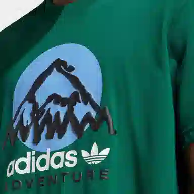 adidas originals Adv Mtn F Tee LogoT