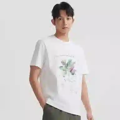Cabbeen T