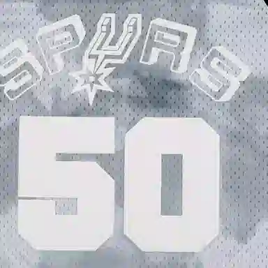 Mitchell Ness NBA SW 98-99 50