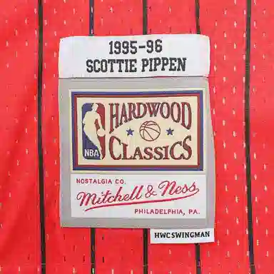 Mitchell Ness SW 95-96 33