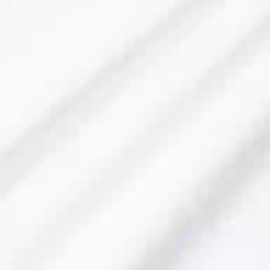 VERSACE JEANS COUTURE logo