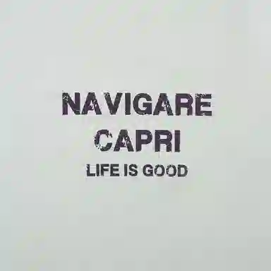 NAVIGARE LogoT