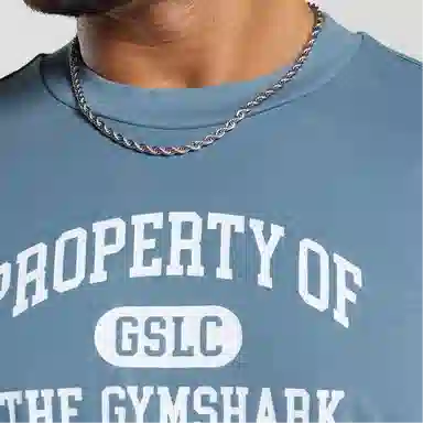GYMSHARK Property Of T-Shirt Blue