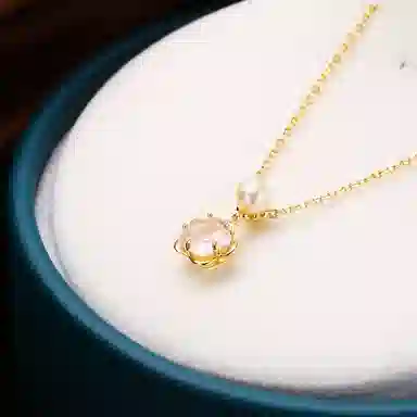 ins S925