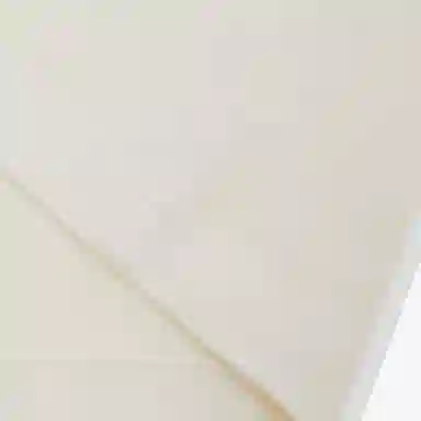 UNDEFEATED SS25 LogoT