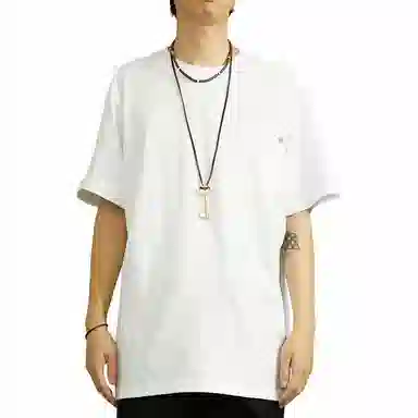 Dickies T