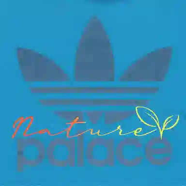 adidas originals x PALACE SS22 LogoT