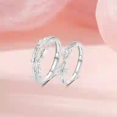 KING TAI SANG ins 999