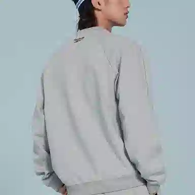 Reebok Embroidered Pullover Sweatshirt Light Heather Gray