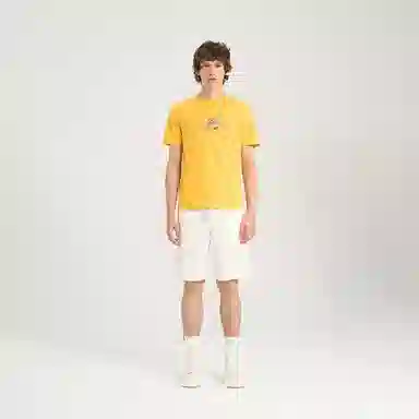 RARE T