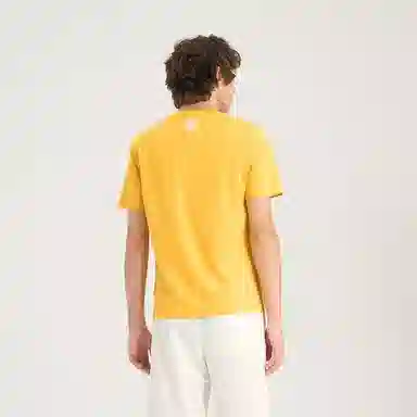 RARE T