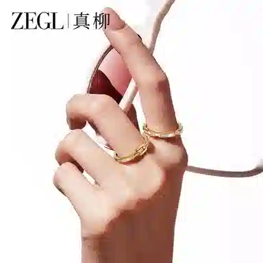 ZEGL C