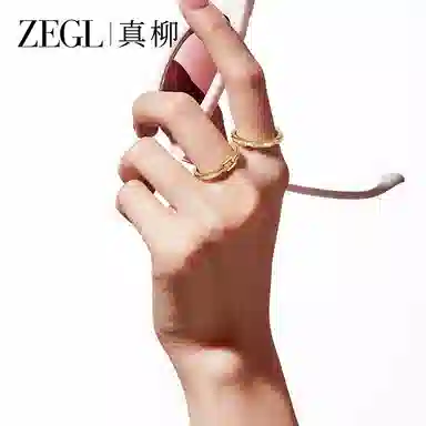 ZEGL C