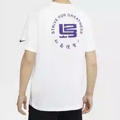 Nike Strive for greatness T